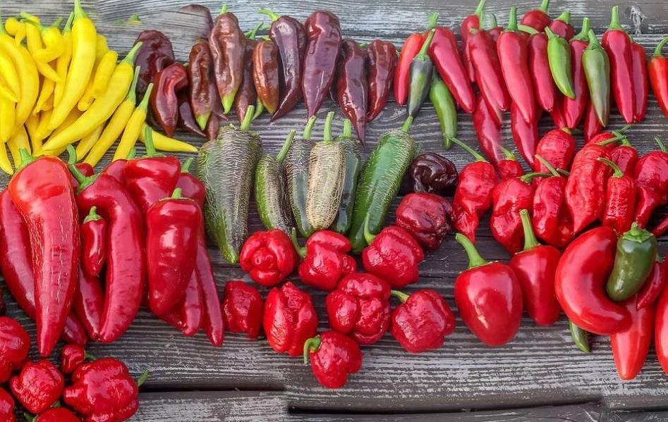 Новини України - Чарівний світ перцю: історія, користь і найгостріші різновиди