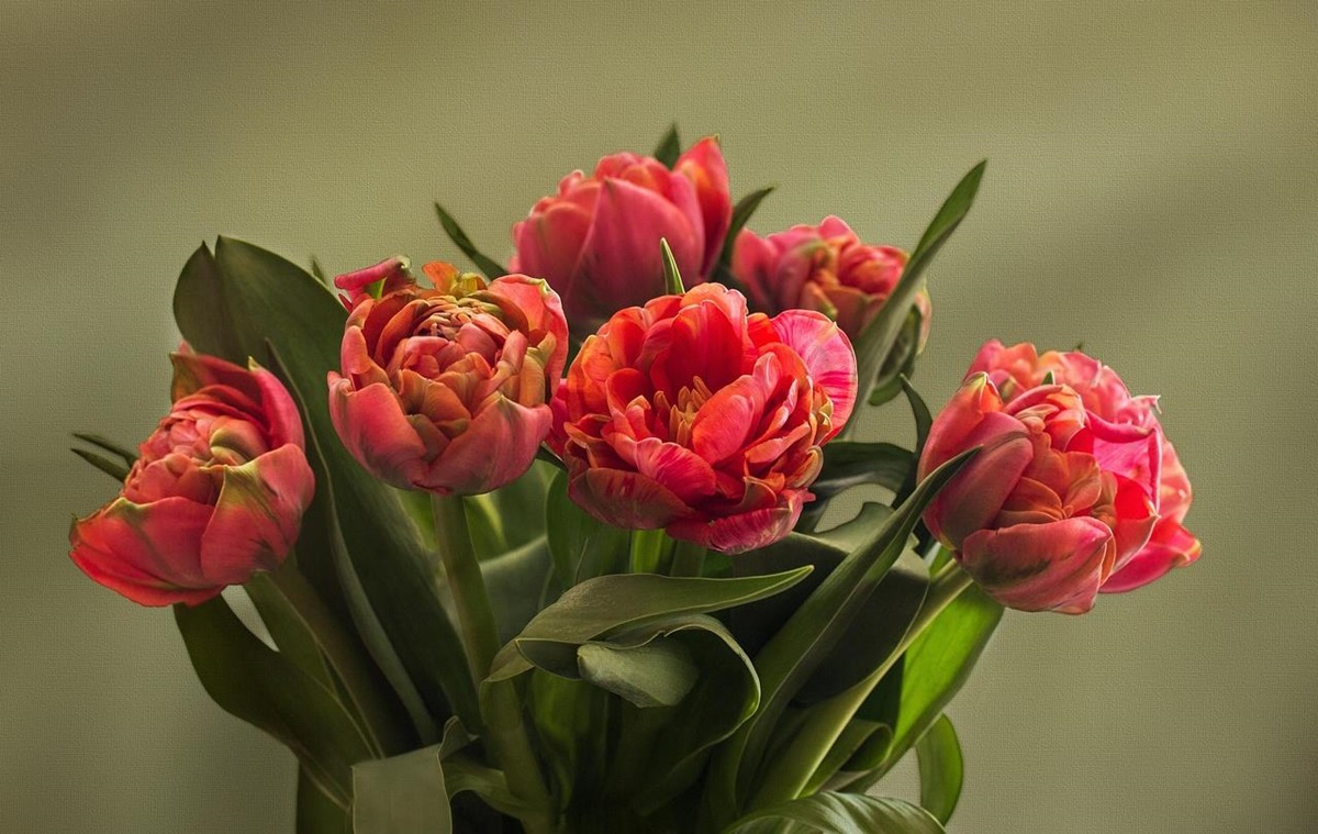 Свята 10 березня 2026: які заборони та події